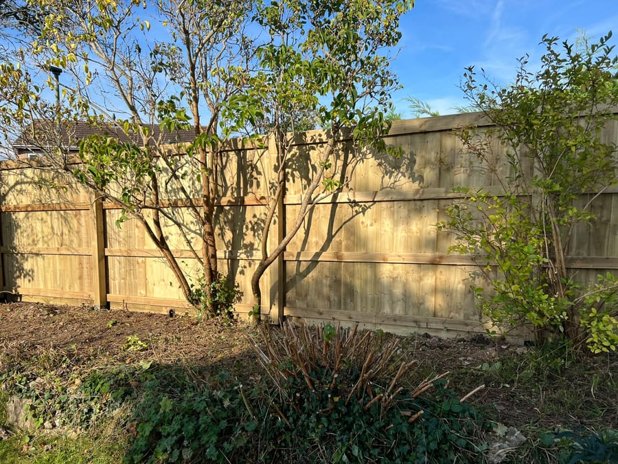 Fencing by PC Landscaping in South Devon: project photo 3